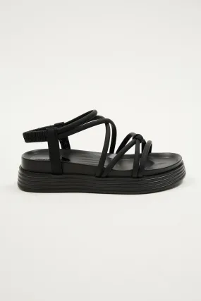 Denali Black