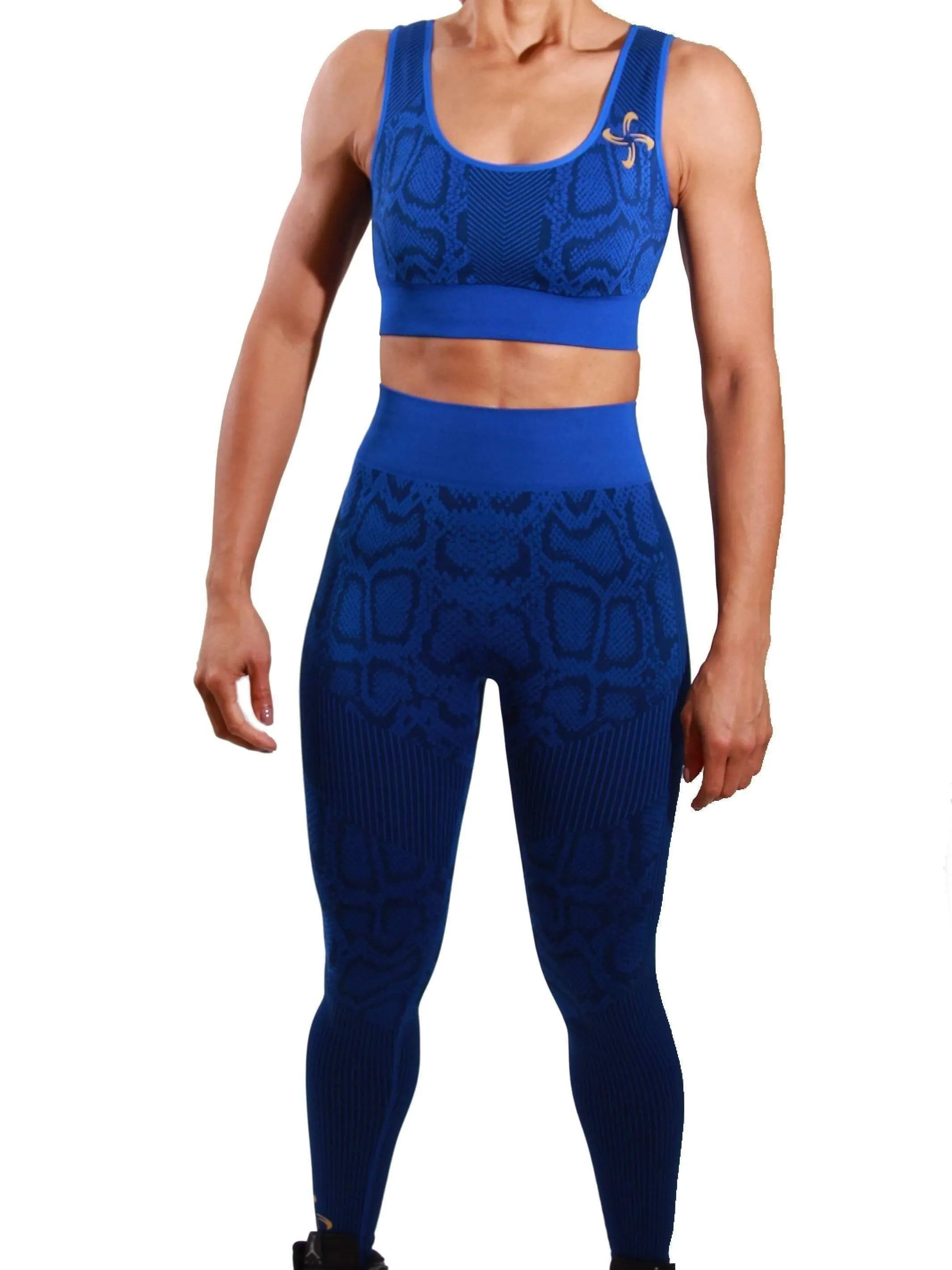 Explicit Energy | Seamless Activewear Set Blue