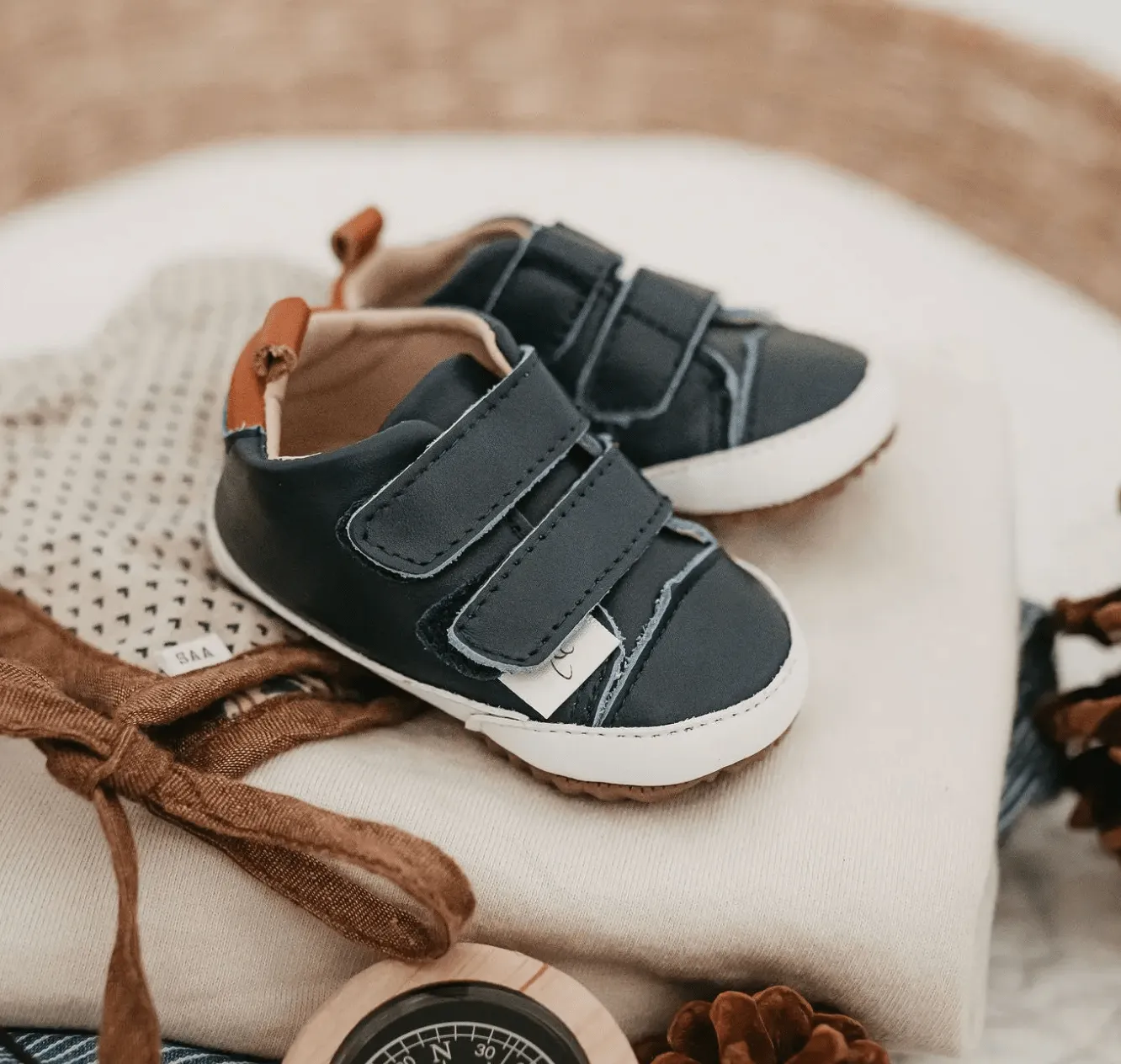 The Low Top Shoe