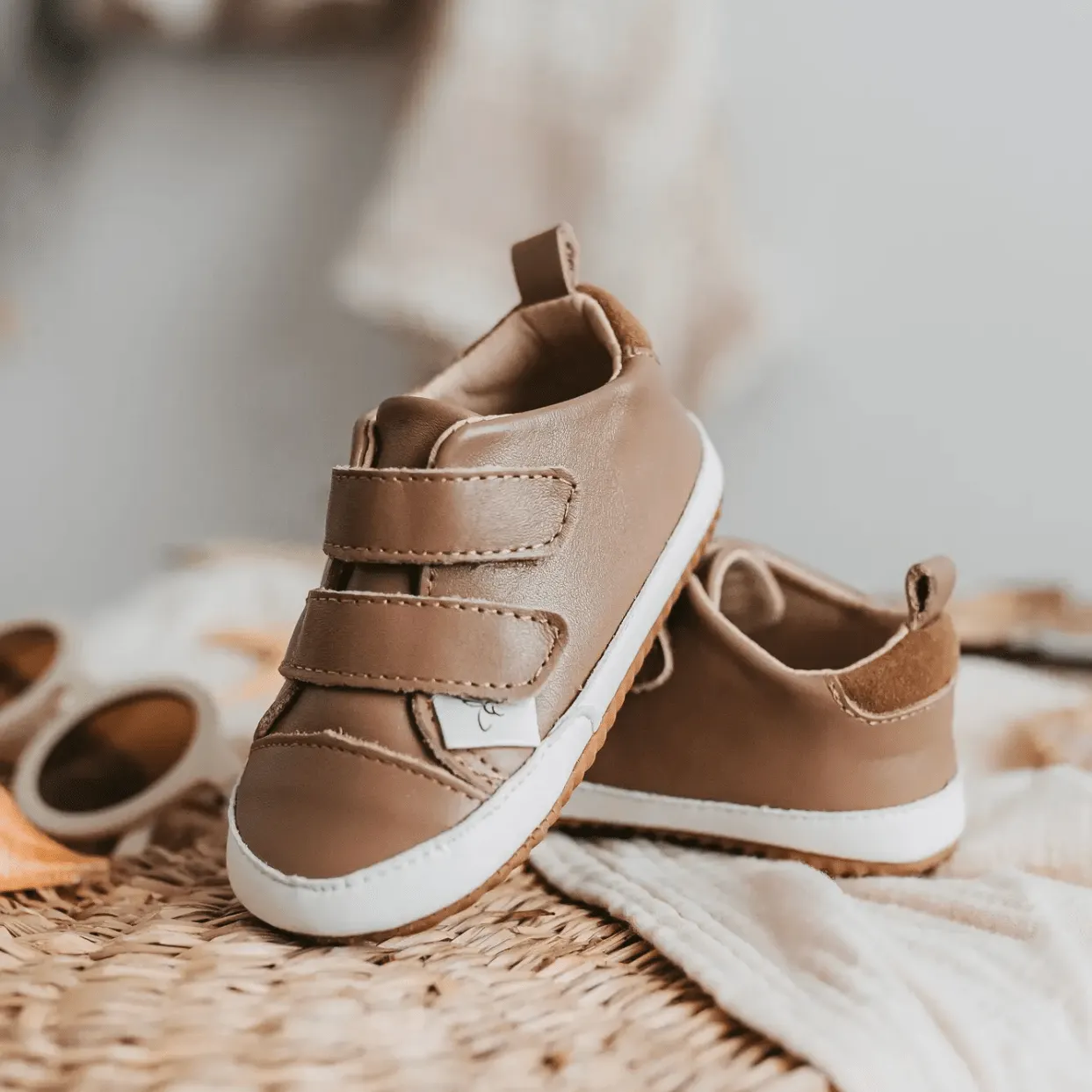 The Low Top Shoe