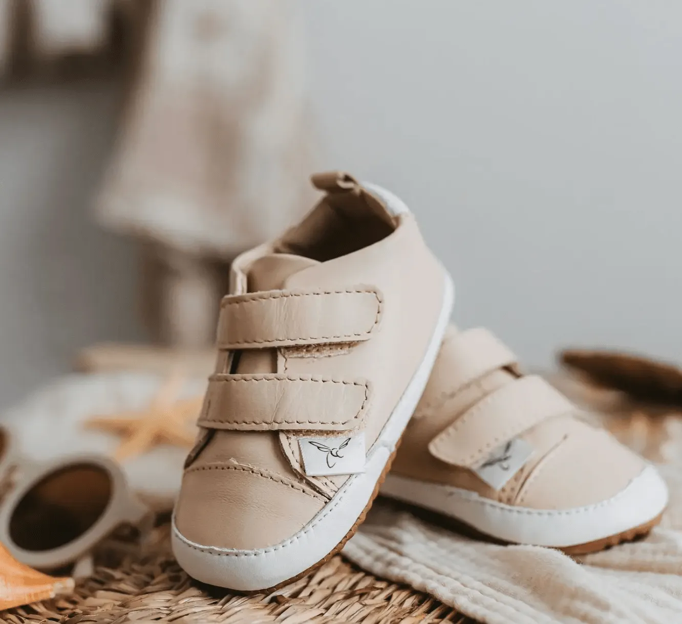 The Low Top Shoe
